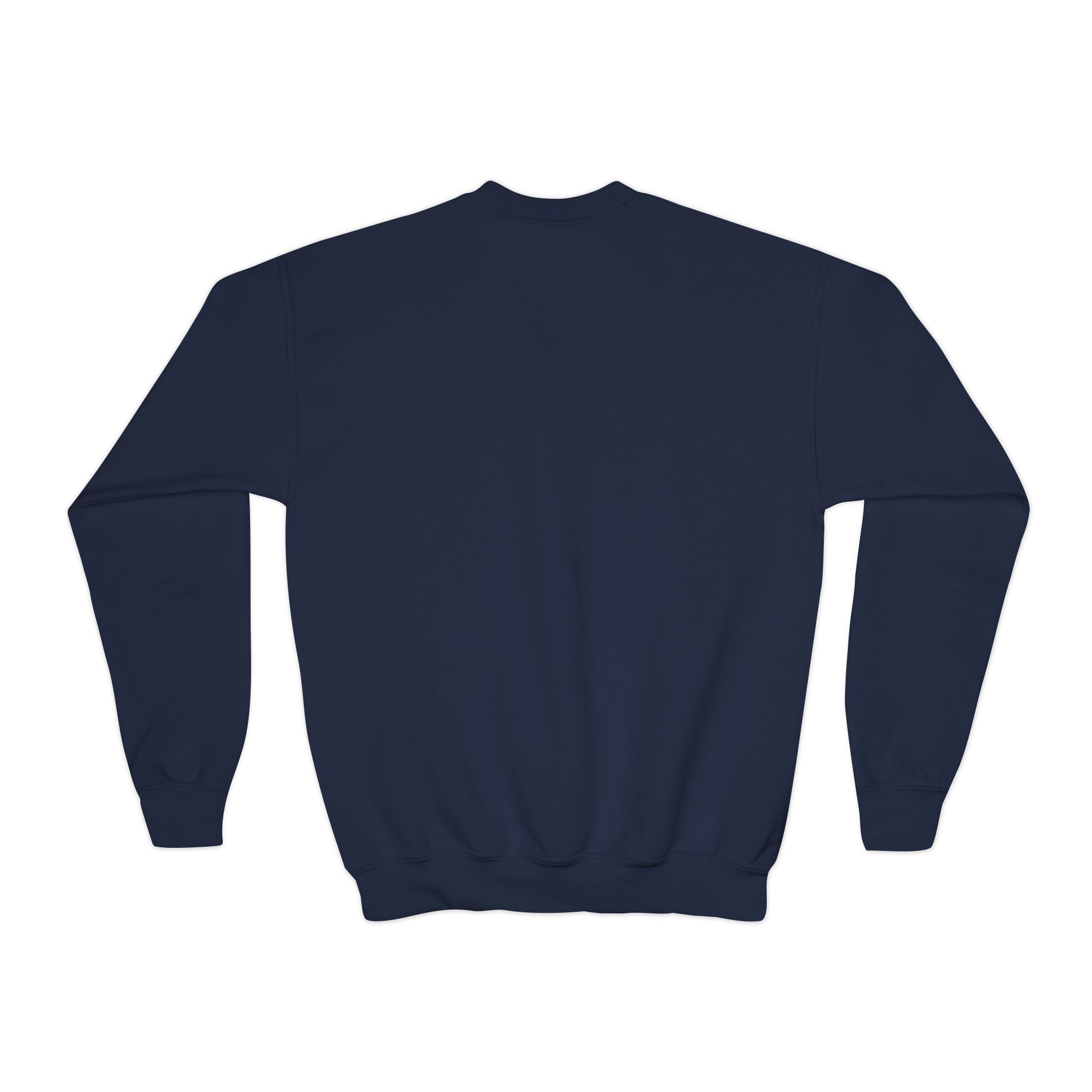 Street Splash Youth Crewneck